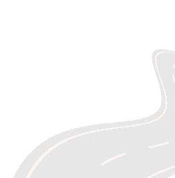 shape